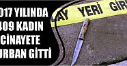 2017 Yılında 409 Kadın Cinayete Kurban Gitti