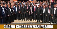 3 İlçede Kongre Heyecanı Yaşandı