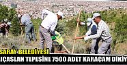 Aksaray Belediyesi Kılıçaslan Tepesine 7500 Adet Karaçam Dikiyor