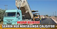 Aksaray Belediyesi Şehrin Her Noktasında Çalışıyor
