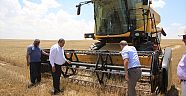 Aksaray'da 2018 yılı hasat dönemi başladı