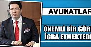 Avukatlar Önemli Bir Görev İcra Etmektedir