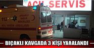 Bıçaklı Kavgada 3 Kişi Yaralandı  
