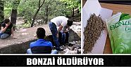 Bonzai Öldürüyor
