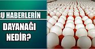  Bu Haberlerin Dayanağı Nedir?