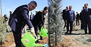 Daha yeşil bir Aksaray için fidanlar toprakla buluştu