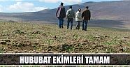 Hububat Ekimleri Tamam