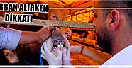Kurban Alırken Dikkat!
