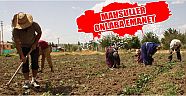 Mahsuller Onlara Emanet