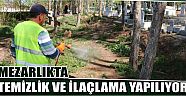 Mezarlıkta Temizlik Ve İlaçlama Yapılıyor