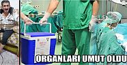 Organları Umut Oldu
