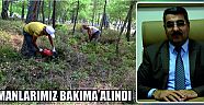  Ormanlarımız Bakıma Alındı