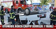 Otomobil Ağaca Çarpıp Devrildi: 1 Yaralı