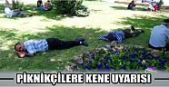 Piknikçilere Kene Uyarısı