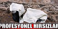 Profesyonel Hırsızlar