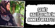 Şehit Halisdemir'in Annesi Vefat Etti