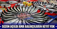 Sezon Açıldı Ama Balıkçıların Keyfi Yok
