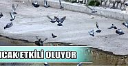  Sıcak Etkili Oluyor