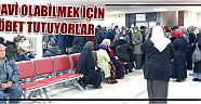 Tedavi Olabilmek İçin Nöbet Tutuyorlar