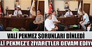 Vali Pekmez Sorunları Dinledi