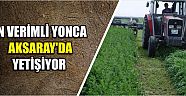 Yonca’da Yine Lider Aksaray